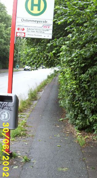 Ein zugewachsener Radweg an der Heinrich-Plett-Straße.